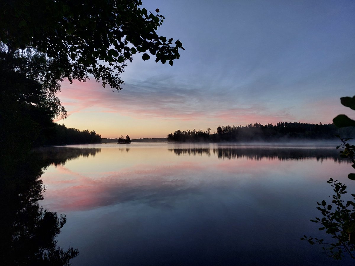 SalkinQgreb's tweet photo. God morgon! ☕️🖤 https://t.co/pazfqwT2RZ