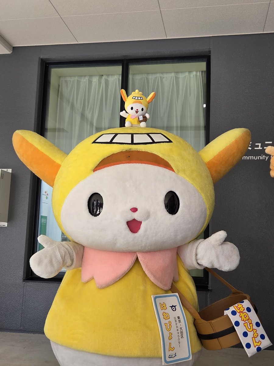 komugihayui's tweet photo. #はねぴょん #ヴィッキーちゃん
#コミュニティセンター羽田旭

よいしょっ。
はねぴょんもこはねもカジカジ😻
たぺられた～っ🫪🫪❕️❕️❕️ https://t.co/VTi71gTQtr
