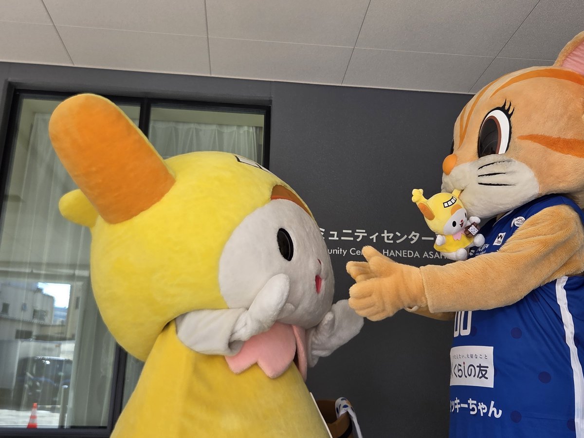 komugihayui's tweet photo. #はねぴょん #ヴィッキーちゃん
#コミュニティセンター羽田旭

よいしょっ。
はねぴょんもこはねもカジカジ😻
たぺられた～っ🫪🫪❕️❕️❕️ https://t.co/VTi71gTQtr