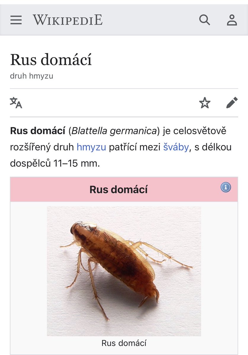 QuantumAldo's tweet photo. @aleksthgrt Meanwhile in Czechia 😅🇷🇺💩 https://t.co/YTFaRJ36fZ