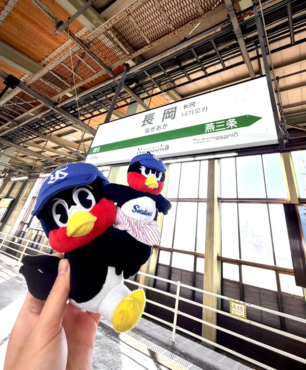 haruchan_87's tweet photo. 長岡1年ぶり！🐧

新幹線でMAP作ってたら少し酔った…🙄
いやはや、くびき野は6つの��超えでどうなるかだな
でも、エイドは美味しそう！✨

#長岡 
#えちごくびき野 https://t.co/tDcxi706C9