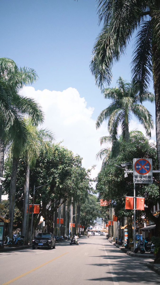 QiuDiu's tweet photo. 热带🌴似乎不需要有焦虑和哲学。
人在植物的包裹下就会充满生命力！ https://t.co/pBkhYjLXIW
