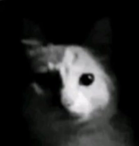 joestarnoir's tweet photo. yo durante toda la s6: por favor necesito saber más sobre lila/cerise, quiero verla más en pantalla y cómo va maquinando sus planes 

yo después del trailer de la s7: no gracias jaja https://t.co/g2MGBy4POR