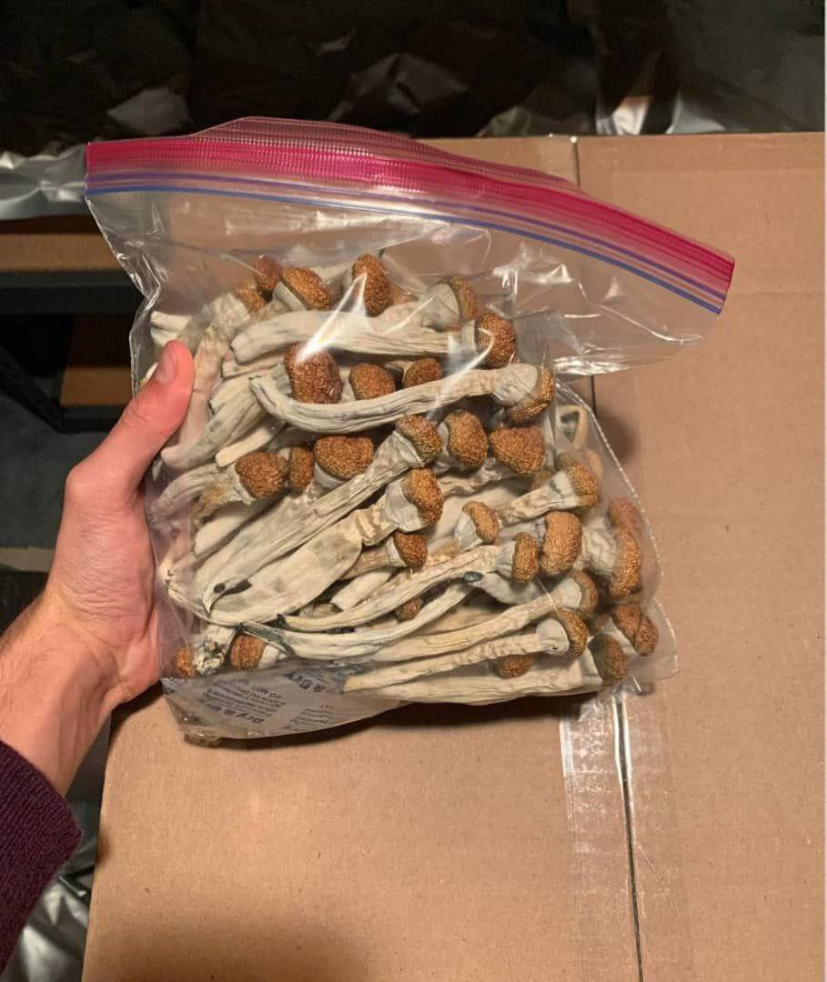DavidSmokeHouse's tweet photo. Need Za in Miami?
Need gas in jax? Need tree in Orlando?
Tap in &amp; get right💨🔥
#orlandoflorida #weed #plug https://t.co/KRGFFSYTkt