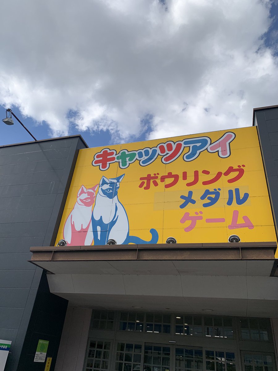 2JIIIIIROTOSAKA's tweet photo. みーつめる https://t.co/x90spwieGq