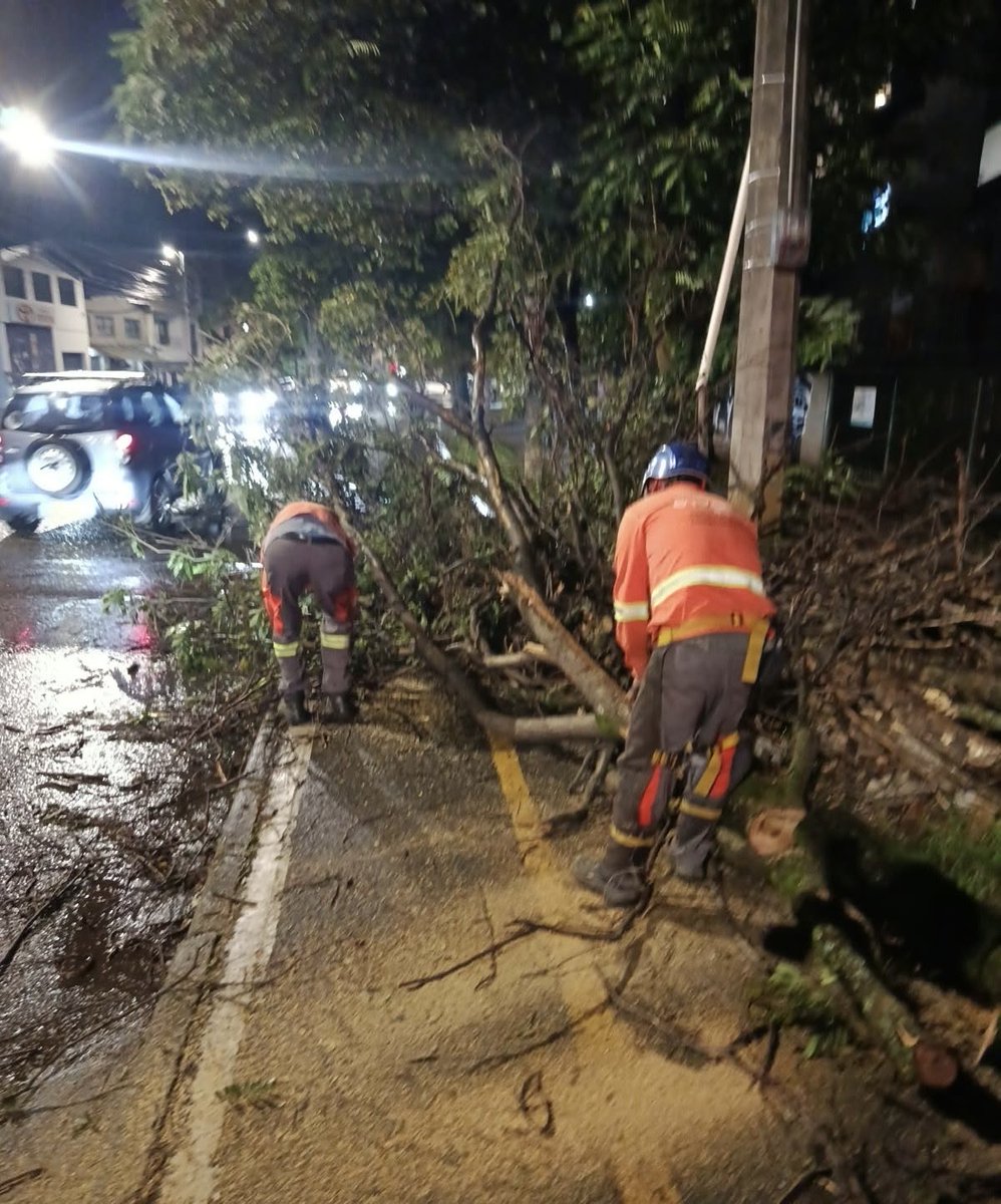 FicoGutierrez's tweet photo. Seguimos con todo nuestro equipo desplegado en el territorio. No paramos hasta que nuestra gente esté bien y la ciudad vuelva a la normalidad. 

‼️Gracias al trabajo de nuestros equipos, a esta hora logramos habilitar el paso en la avenida Guayabal, a la altura de la calle 2 Sur, en sentido occidental.

Seguimos al frente de la situación, atendiendo cada emergencia y cuidando la vida de nuestra gente.