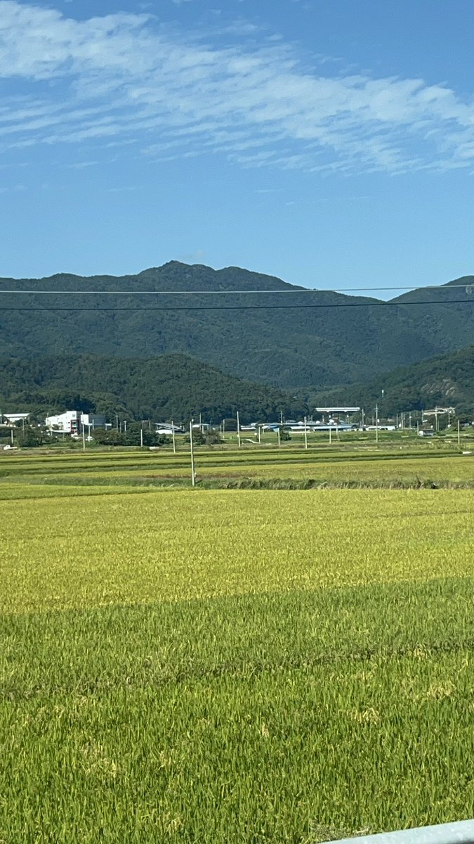MIJAMONG0526223's tweet photo. 오랜만에 뽀이들 보러 서울 간댯 ₍˄·͈༝·͈˄₎◞ ̑̑ෆ

🚗🚙💨💨 https://t.co/XYkP9aFJ0n
