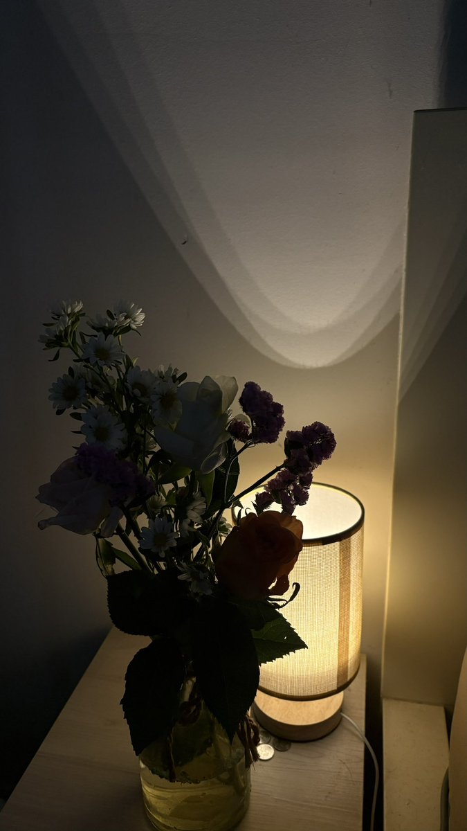 aelyraxa's tweet photo. the prettiest mix of flowers I ever gotten ♡ https://t.co/VOE457g1IJ