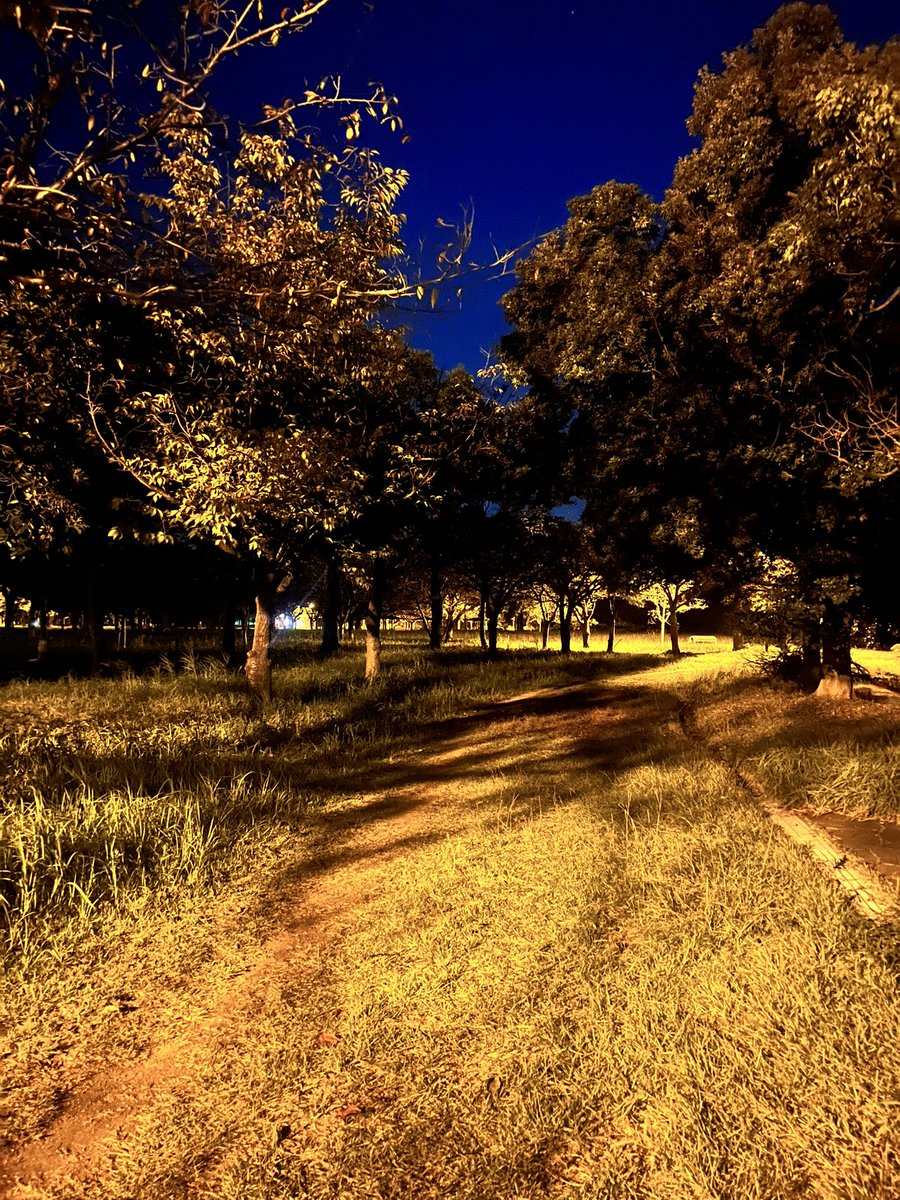Toshi0min0's tweet photo. 昨夜の #奥洞海緑地公園 #ウォーキング #実は真っ暗 #カメラは明るい https://t.co/u3Nhzsvv6v