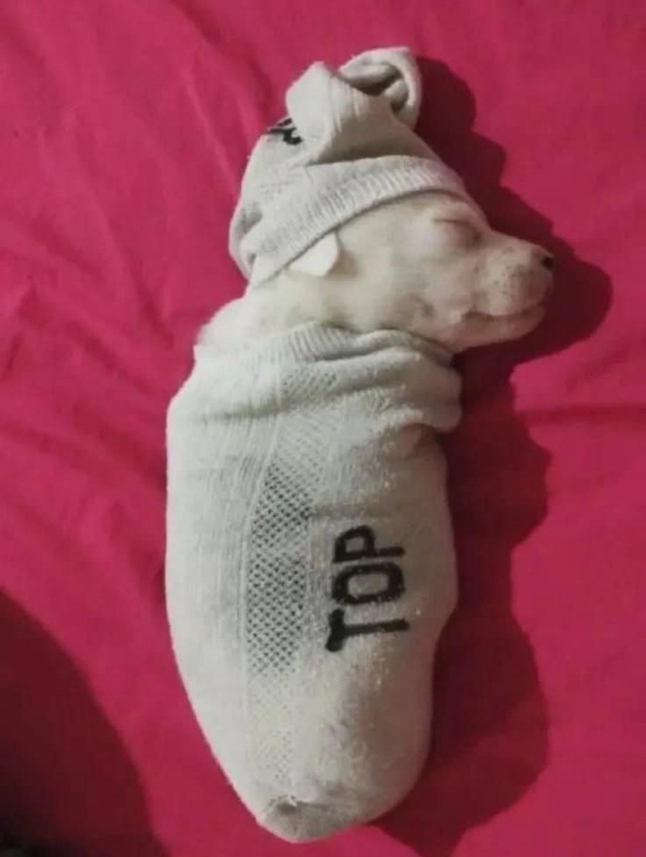 Gaara898's tweet photo. Como estoy después de que mi alarma sonara más de 3 veces https://t.co/zDPBvRgeYG