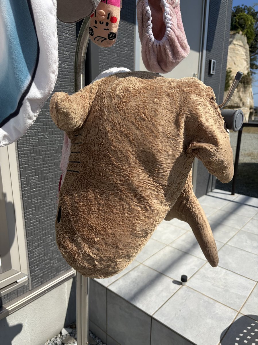 Utano_Rinmaru's tweet photo. いつもより早起きして、お部屋の模様替えの続きしてヨダレまみれฅ(ｰ̀กｰ́ )ｸﾁｬｲｸﾁｬｲのサメもお洗濯～～！ https://t.co/jWjmv0cEih
