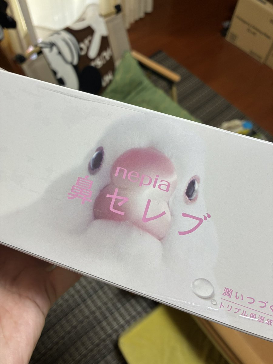 piyotabunsan's tweet photo. 大事に保存してます https://t.co/S1JD5qOVyZ