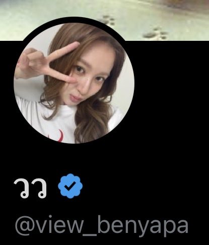 heremeloud's tweet photo. Still think it’s just too… it used to be just “wowo” (view’s twt name = dropping the vowel “i” from “view” gives you wowo in Thai). Then you met someone named mim, and dropping the same vowel “i” (+ the tone mark) from mim gives you momo. and now your child’s name is literally just a combination of wo + mo + the vowels “i” and “ii” + tone marks, and one day your work wife posts  “wowo momo vimmy family” and your child posts “wowo momo womo”, it’s not just “wowo” anymore you know