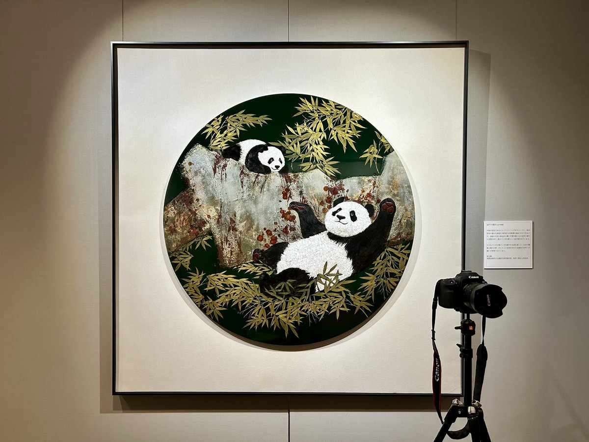 shao__kan's tweet photo. パンダ展🐼日中友好会館美術館で本日スタートです‼️

雰囲気の異なる13点の大きな漆画！
きっとお気に入りの作品に出会えます！
漆のツヤ、細かな笹の模様、間近で感じられます！ https://t.co/jkPeDtZ1oC