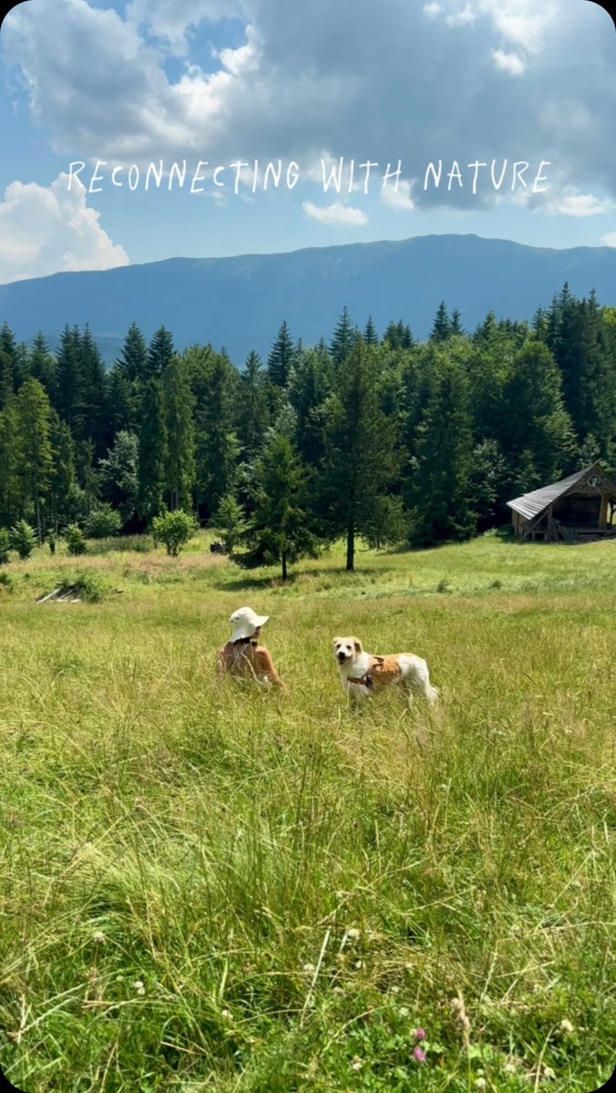naamiiranda's tweet photo. Charging my batteries with nature, mountains, travel, and my dog. https://t.co/5oBLVz9dv7