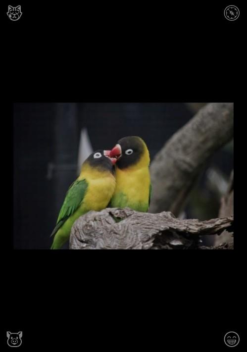 Lareineeee's tweet photo. Forest wild travel explores original ecological nature. Walking in primitive forests contacts rare plants and pure natural environment away from artificial transformation.⚖Production is in full mode Every step toward company success https://t.co/jvjSXAh5AA