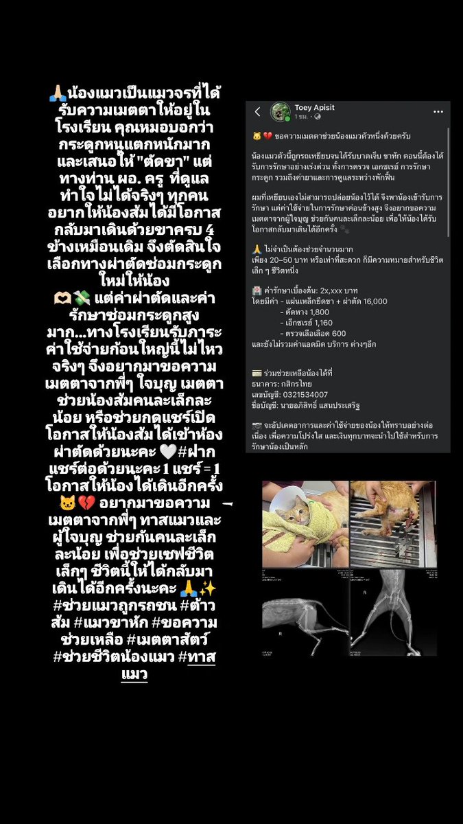 Devonredy's tweet photo. ช่วยกันค่ะ ตอนนี้น้องรอผ่าตัดอยู่ค่ะ🤍 https://t.co/wnBq9v95i0