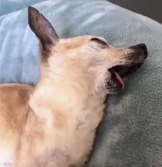 verdat_'s tweet photo. how it feels https://t.co/34aNOzpsI3