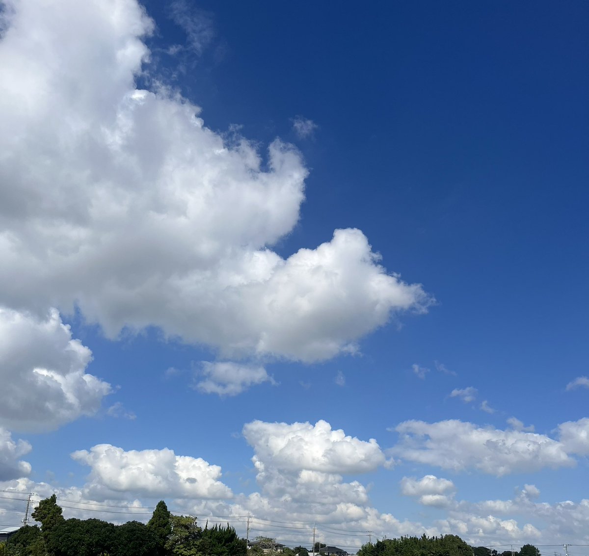 Storiesulfe's tweet photo. 君はまた髪を染めて
この場所を忘れるね
思い出していた　もう聞けない口癖を https://t.co/UcLfbAj1hb