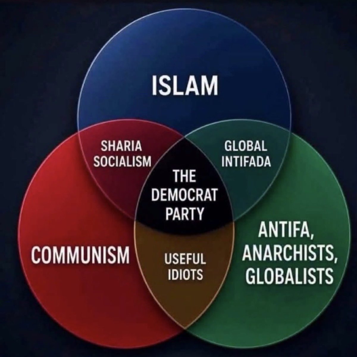 atensnut's tweet photo. The VIN Diagram of the Democrat Party! https://t.co/bZRzHD5r8a