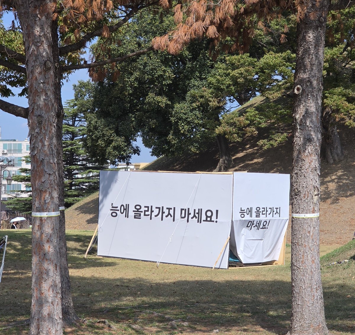 nulleng_bab's tweet photo. 경주 신라문화제 축제중인데 이런거 써있으면
외지인 : 어머 누가 능에 올라가 교양없이
경주인 : 아~~ 옛날에는 썰매도 탔는데~ https://t.co/XtFPLNhtEA