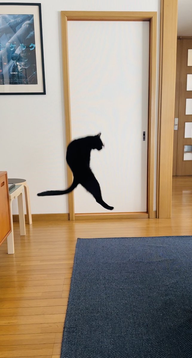 hachiandkuro's tweet photo. 良いフォルム https://t.co/vBls2rM0mx