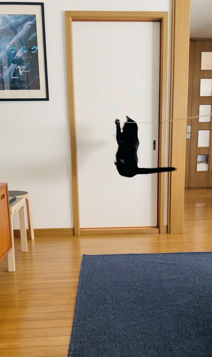 hachiandkuro's tweet photo. 良いフォルム https://t.co/vBls2rM0mx