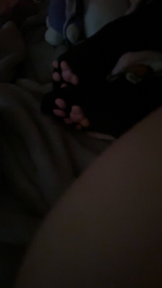 attachedtween's tweet photo. new photos >.< #pawsocks #egirl #agegap #catgirl https://t.co/fhdS6yyDpN