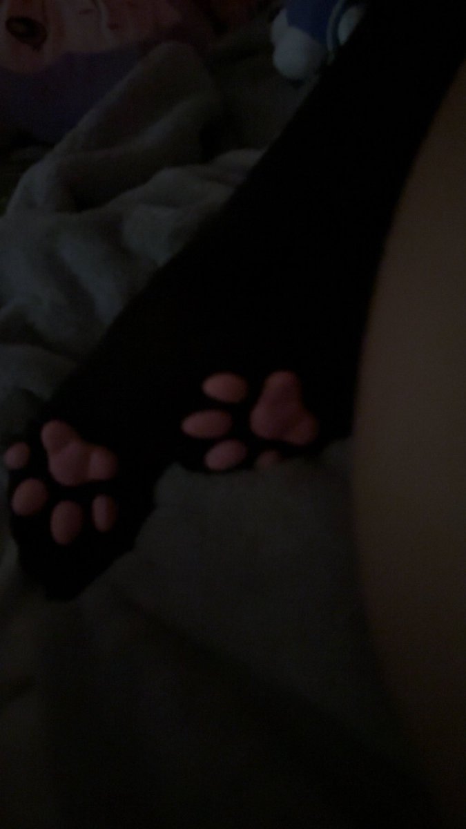 attachedtween's tweet photo. new photos >.< #pawsocks #egirl #agegap #catgirl https://t.co/fhdS6yyDpN