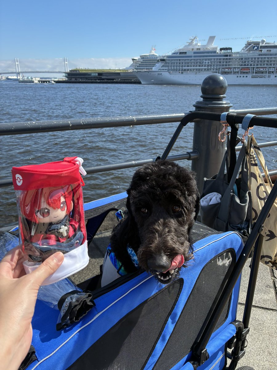 kumakuma1955's tweet photo. 赤海　犬と赤レンガだよ https://t.co/lXt5KnfZcT