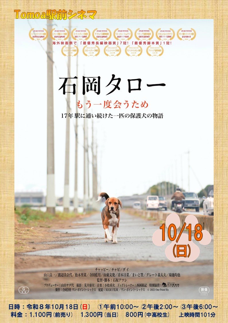 tomobetomoa's tweet photo. 🎥今月の　Tomoa駅前シネマ

🎞️石岡タロー(101分)

上映日時：10/18(日) 
　　　　①10:00〜　��14:00〜　③18:00〜
料金：前売り¥1100 当日　¥1300
中高生¥800 小学生￥500

トモア窓口で前売り券販売中🎫
お電話でお取り置きもできます✨

お問い合わせ📞0296-71-6637(トモア受付) https://t.co/MgatBPrt3O