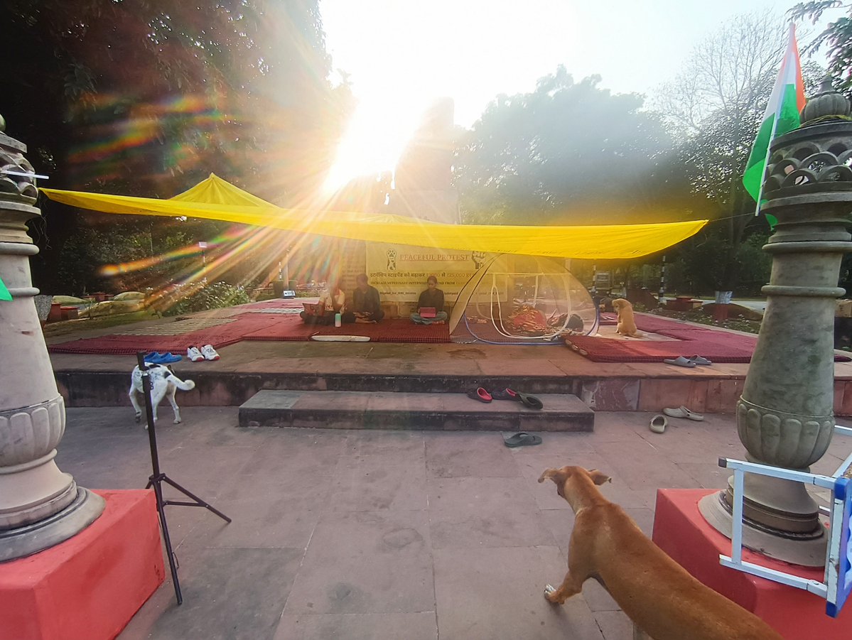 Shweta0874's tweet photo. Safed coat ki kranti , Ab banegi Kranti!@icarindia @ChouhanShivraj @ivri_1889 @dare_goi @CimmytMl @YashpalSMa16711 @PMOIndia
#IVRIINTERNSTIPEND https://t.co/9zPqJRCji4
