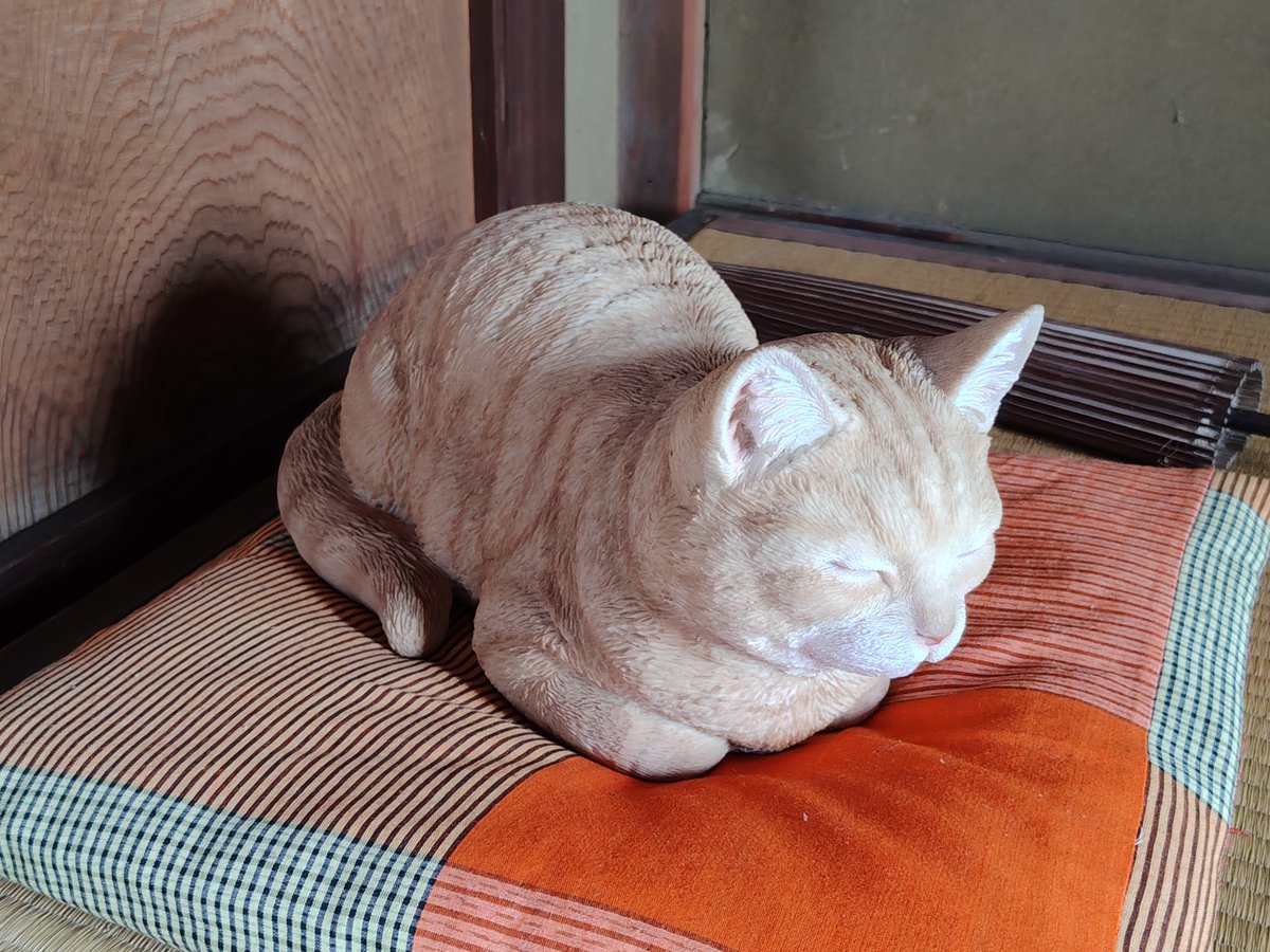 syamimomo's tweet photo. 津雲邸にも猫の置物があちこちにある🐱 https://t.co/E1HIZL8SaP