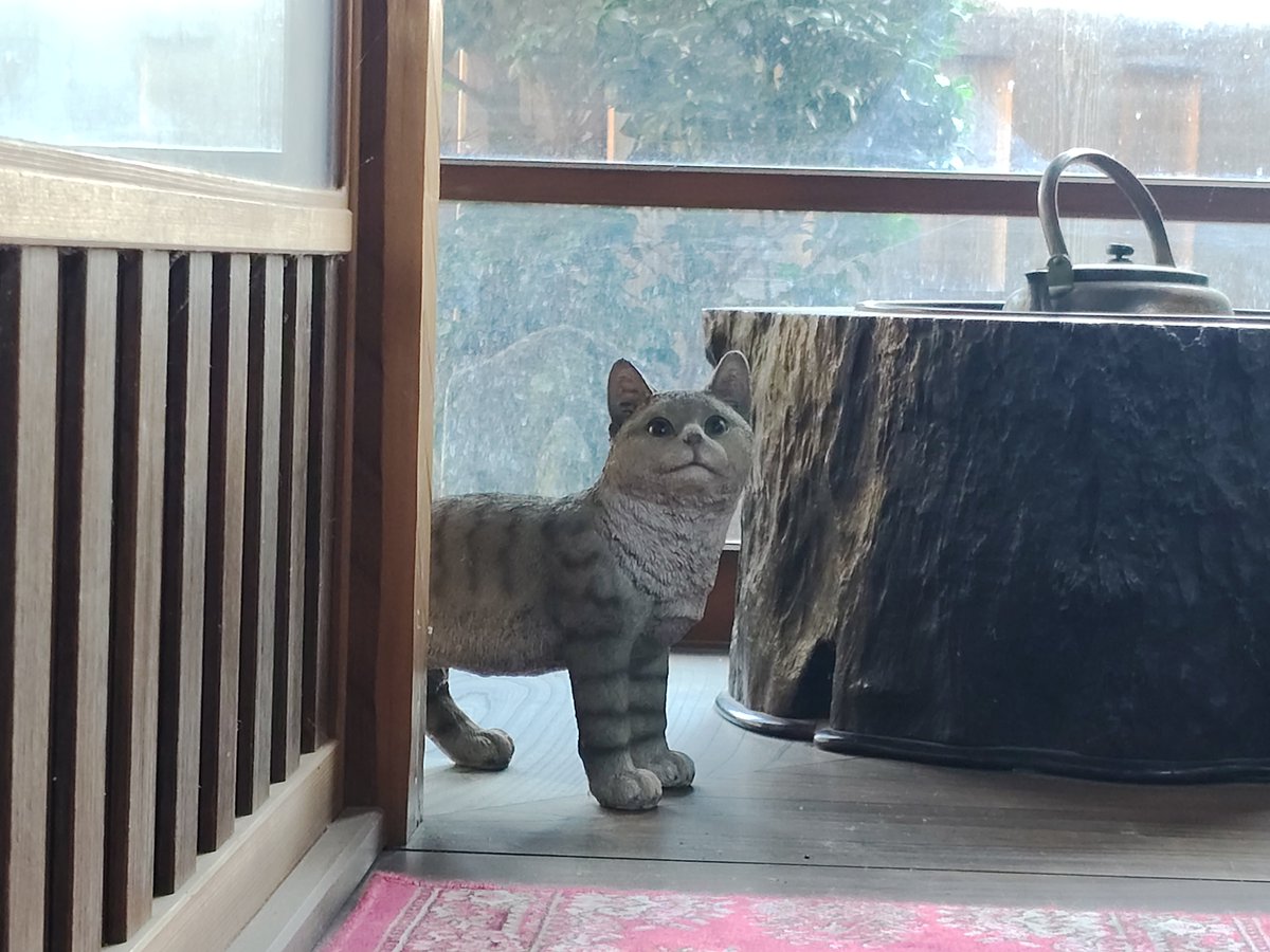 syamimomo's tweet photo. 津雲邸にも猫の置物があちこちにある🐱 https://t.co/E1HIZL8SaP