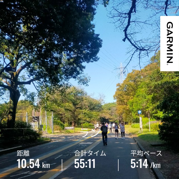 miyarun47's tweet photo. こんにちは😊
24時間勤務明け

やっと連勤が終わりました😆
この職場とのお付き合いもあと少しかな…😑

退勤後、駒沢公園で10キロ。

紅葉🍁よりも先に、ランナーのカラフルTシャツで彩られ、かつ、埋め尽くされておりました😅

おそらく5万人はいたな…🤔 https://t.co/ETKoruUplL