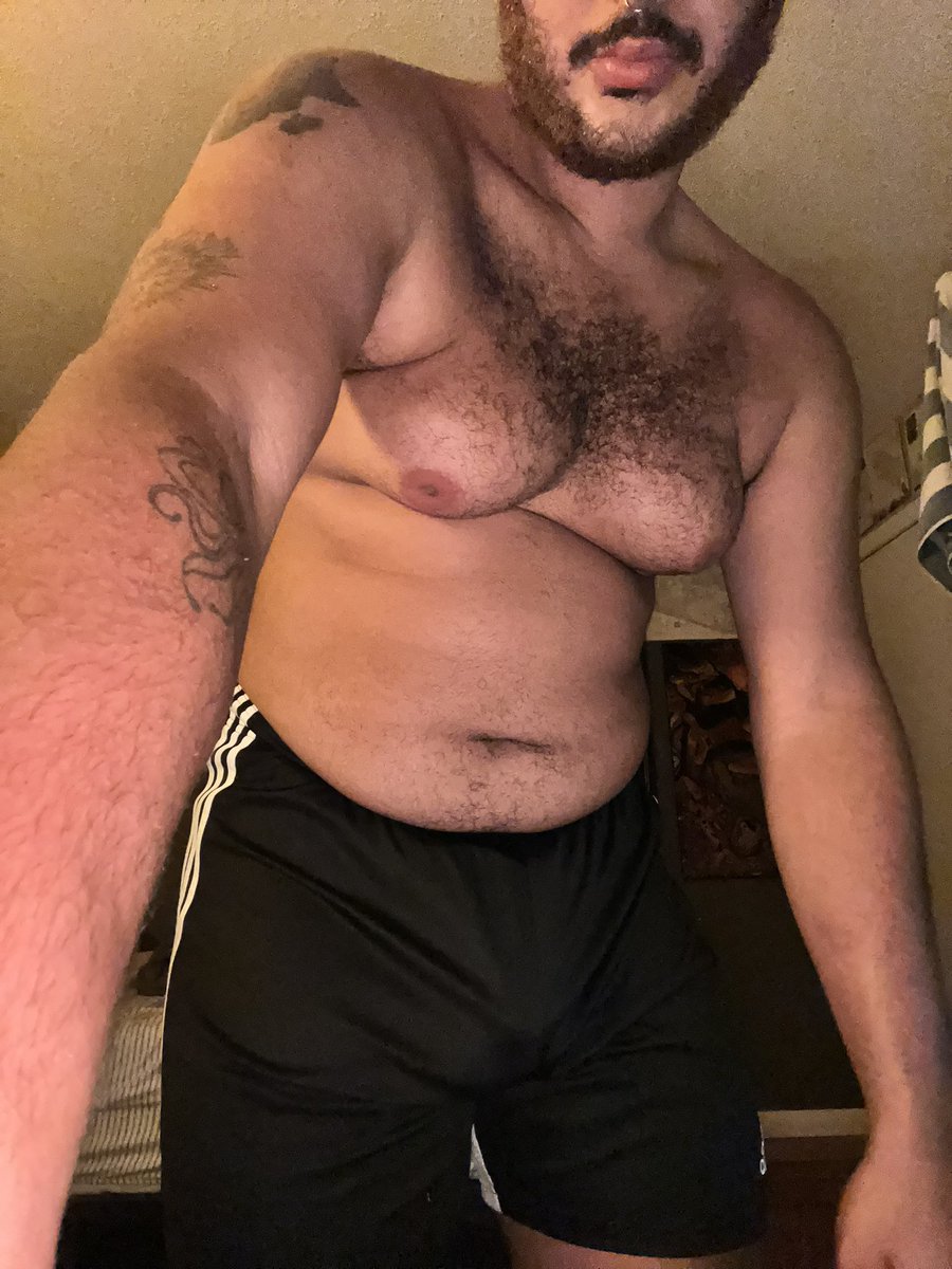 godamaaa's tweet photo. Fat boy who wants to cuddle Friday #fbf https://t.co/NzEFQcsXmH