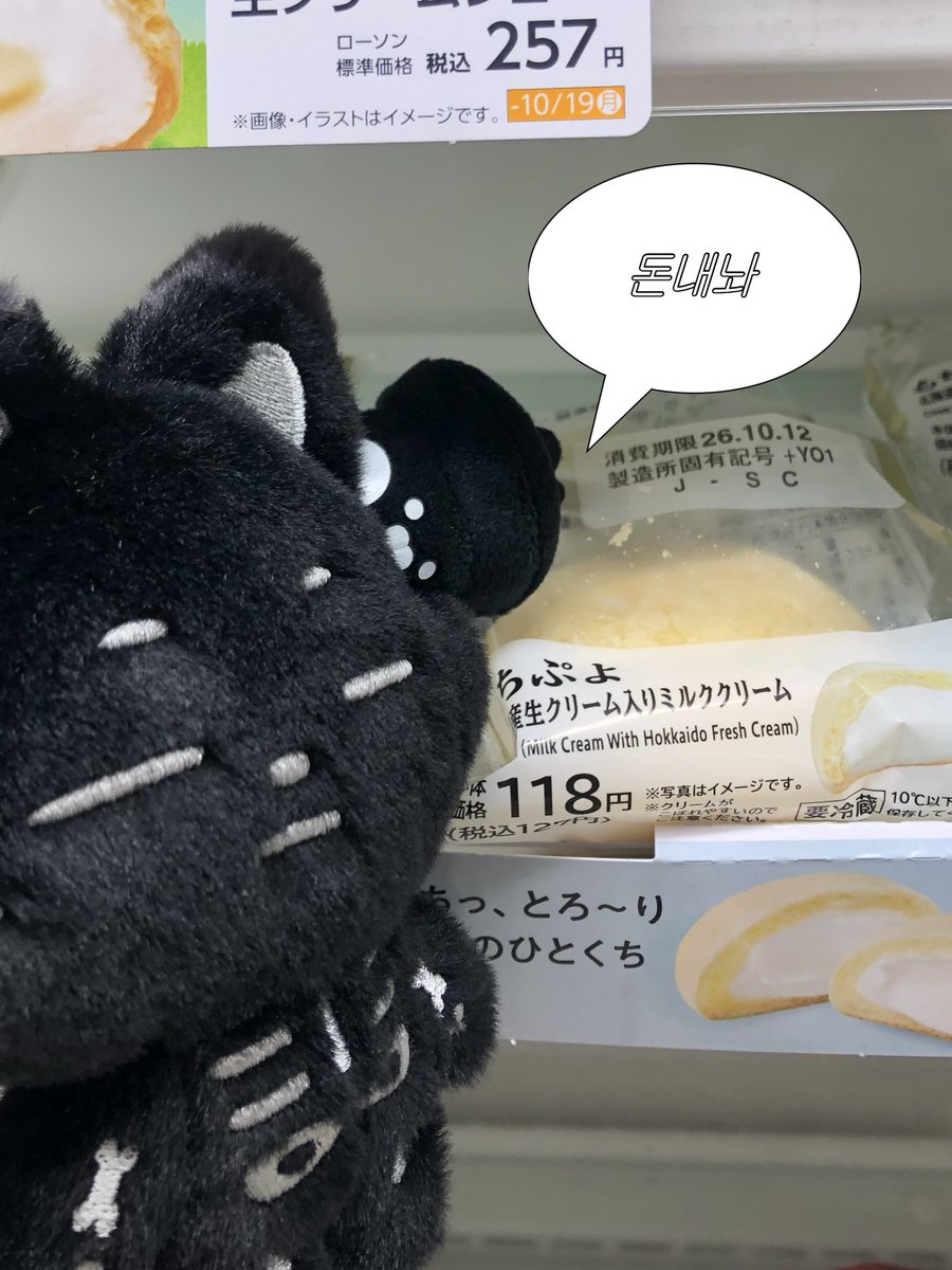 tolbab_1004's tweet photo. 우리집 키슈들 오늘도 평화롭습니다 https://t.co/4F1St8M5EH