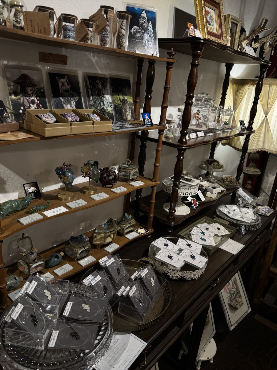 Guignolinfo's tweet photo. #夜の博物館展 本日も12時よりオープン🕯️
追加入荷作品も並んでおります！
皆様のご来館お待ちしております💎 https://t.co/AweTjlK8uK