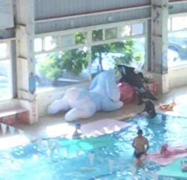 InflatableSean's tweet photo. Pool party https://t.co/TJ20SZxUhx