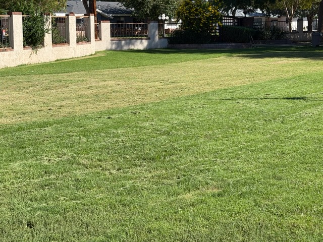 Mrdove15's tweet photo. @RentYourStocks Agreed! In my late 20's the goal was to buy my time out with a landscaper, so I could work more. Success now is having the time back to do it myself. 
This is all flood irrigation, no sprinklers in hot central AZ. Scalped (mowed it twice) for the winter last weekend. https://t.co/6nqV2SaJ33