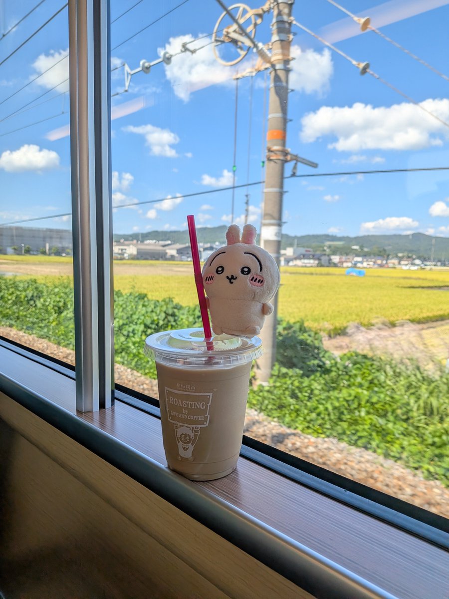 puruy0's tweet photo. 大大大大大大好きなlittle岡山のハニーラテとﾌﾟﾙﾔ🐰☕ https://t.co/MWn6usYIcs