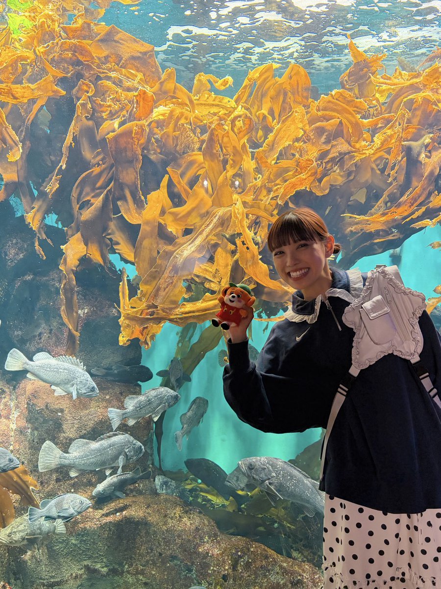 thewakeybase's tweet photo. やっほー！ #ウェイキー 役の #幹葉 です！

楽しかった「うみの杜水族館」🐠
マイウェイキーぬいも一緒におじゃましました〜😆🧡

(The Wakey Showとのコラボイベントは10月18日までやけん、ぜひこの機会に遊びに行ってみてね♩🫧)

ウェキウェキの皆さんが、ウェイキーぬいとお出かけしとる写真を見るのが、日々の楽しみ＆癒しです📸

美味しそうなご飯や、美しい景色。
いろんな世界を見せてもらって、きっとウェイキーも幸せを感じとるはず🤭

秋の風も心地よくなってきたし、ウェイキーと今度はどこにおでかけしようかなっ？？

#TheWakeyShow
@mkh0614