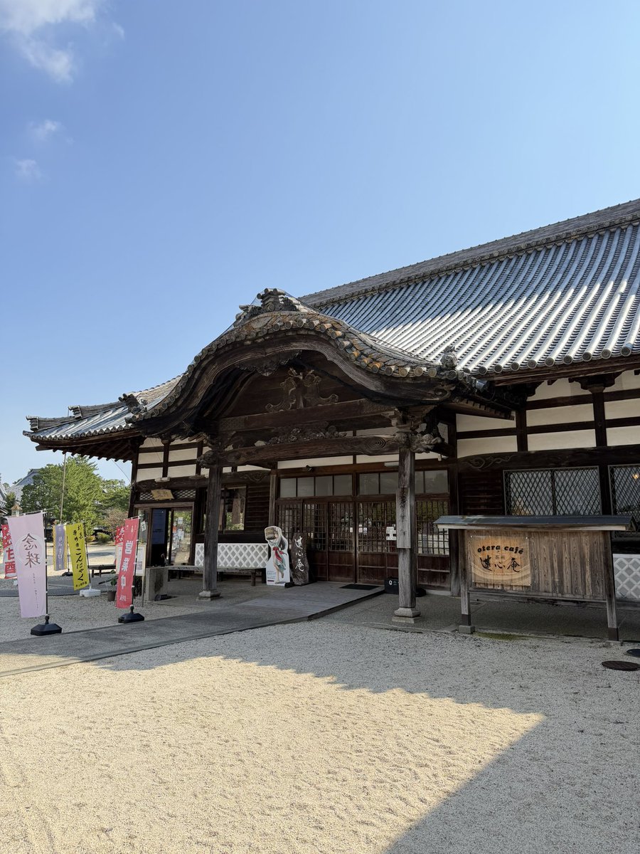 chukyu7's tweet photo. 三重県津市 高田本山 専修寺、こちらにも碧志摩メグちゃん(@aoshimamegu )いてはりました☺️
#高田本山 #ご当地キャラ https://t.co/ZOF24p6Ys3