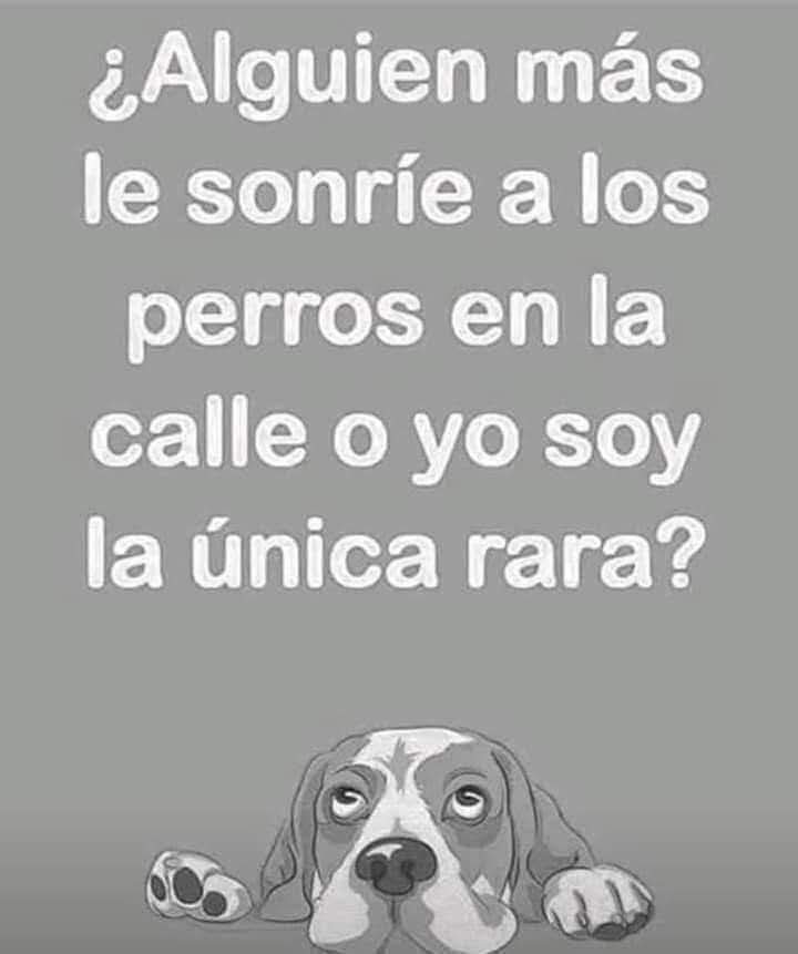 ManuSaenzVolvio's tweet photo. ❤️ https://t.co/PDDJIElcRU