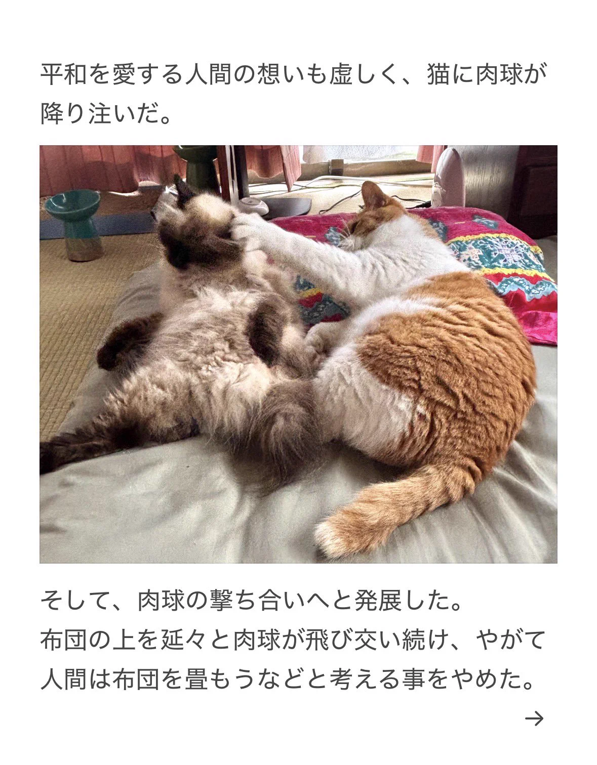 やーこ on X: 