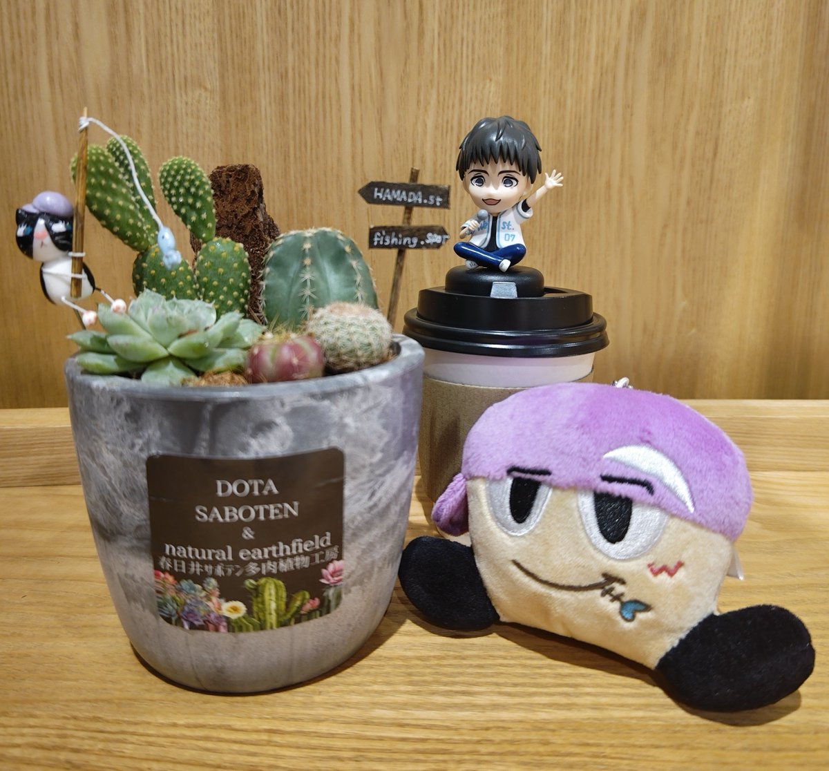 yoshino_west826's tweet photo. 早速、作ってきました🌵
ってか飾ってたやつ貰っちゃいました🤣
せっかくなら上手に植えてあるのが
よくて……｡
濵ちゃんは特別なサボテンだったらしく
同じではないけど満足満足💜
 #旅サラダ
 #濵田崇裕
 #土田サボテン https://t.co/BZnyolU9V3