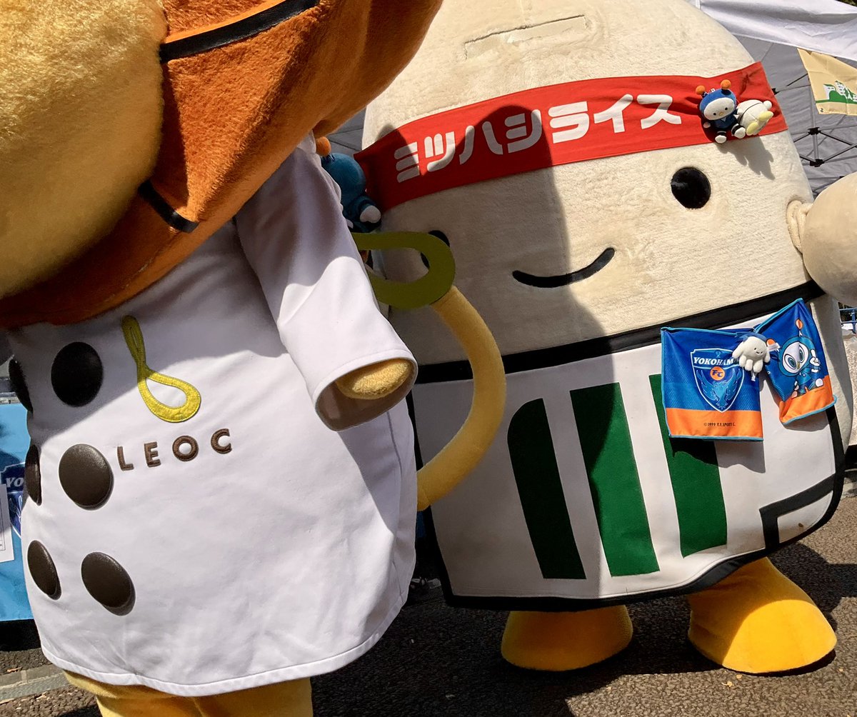 MAKIGAME_KF's tweet photo. #ミツハシくん 🌾🍚さんは #れおっくん 🦁🍽️ の尻尾が気になっていたご様子

#ミツハシライス さま
#LEOC さま

#スポンサー様ありがとうございます

#横浜FC
#yokohamafc
 
#カワイイは正義 https://t.co/aposOTj7aJ