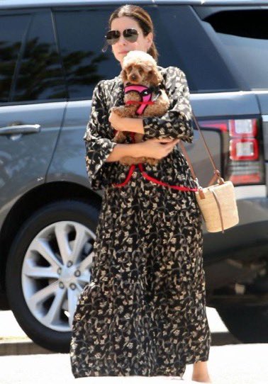 SandraBulld4on's tweet photo. Forget the red carpet for a moment…..I’d happily trade it for a little sunshine, wagging tails, and unconditional love.❤️ Now tell me, who gives better hugs dogs or humans? https://t.co/tcoYaBjpur