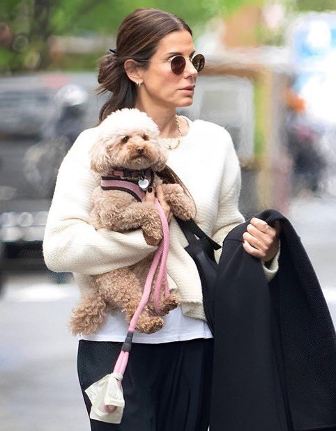 SandraBulld4on's tweet photo. Forget the red carpet for a moment…..I’d happily trade it for a little sunshine, wagging tails, and unconditional love.❤️ Now tell me, who gives better hugs dogs or humans? https://t.co/tcoYaBjpur
