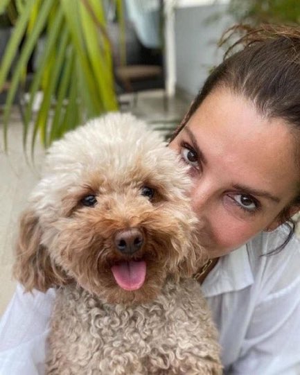 SandraBulld4on's tweet photo. Forget the red carpet for a moment…..I’d happily trade it for a little sunshine, wagging tails, and unconditional love.❤️ Now tell me, who gives better hugs dogs or humans? https://t.co/tcoYaBjpur